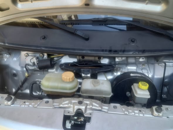 فوتون كولر 2021 - صورة 3