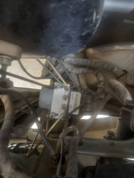 فوتون كولر 2021 - صورة 4