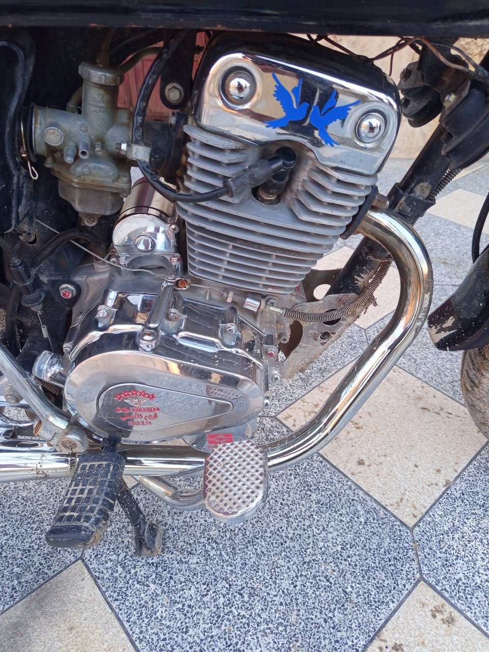 شيري None 2019 - صورة 2