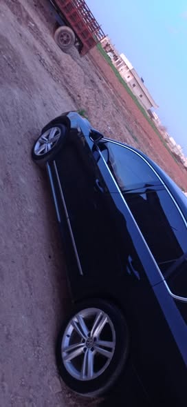 بورتر باسات 2013 - صورة 5