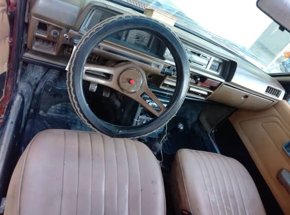 كولت كولت 1983 - صورة 2