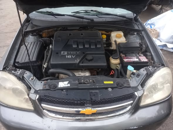 شفر وبترا 2009 - صورة 2