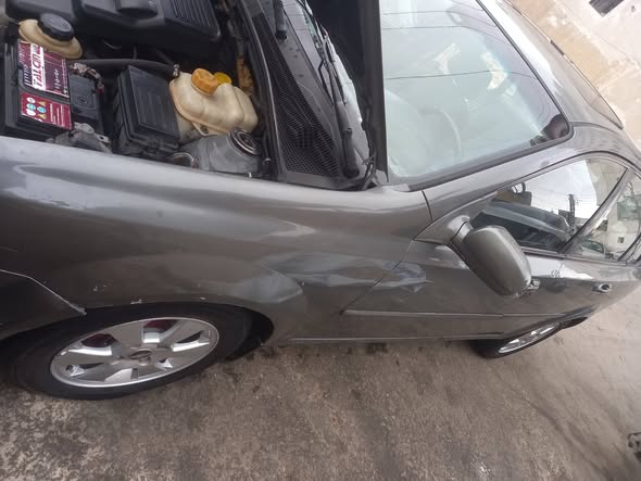 شفر وبترا 2009 - صورة 3