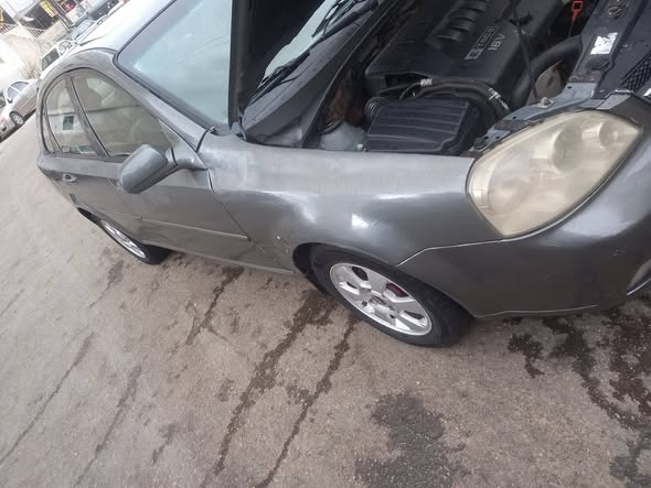 شفر وبترا 2009 - صورة 4