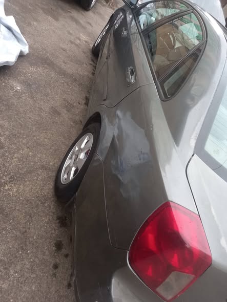 شفر وبترا 2009 - صورة 5