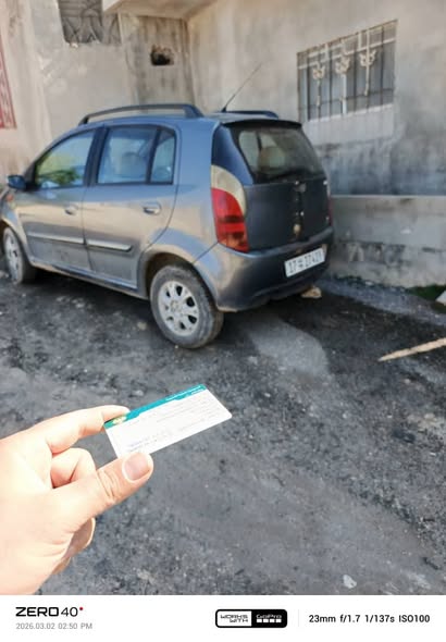 شيري حمشو 2011 - صورة 2