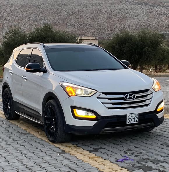 دي ام 2015 2015 - صورة 2