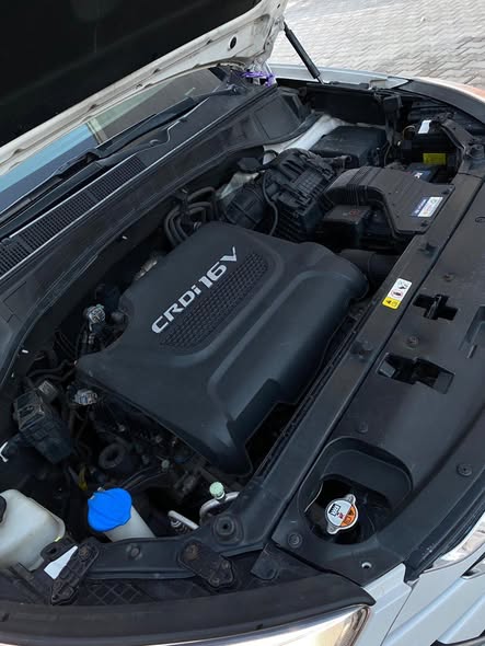 دي ام 2015 2015 - صورة 3