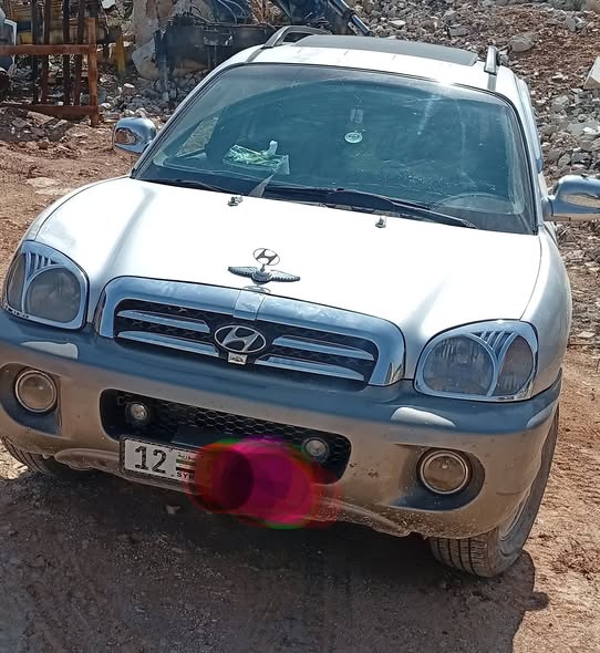 هيونداي سانتافيه 2005 - صورة 2