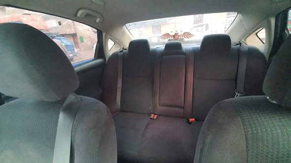 نيسان التم 2014 - صورة 5