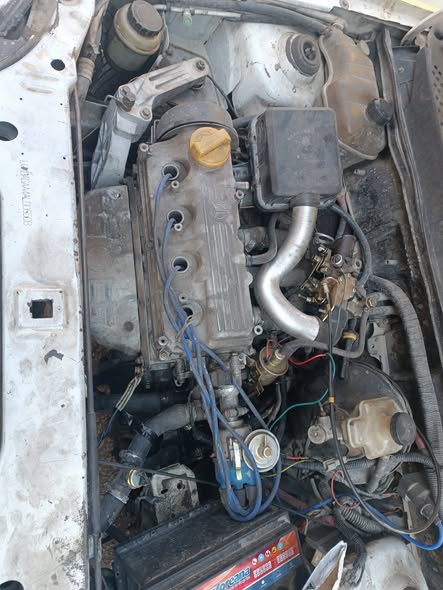 شأنا كالا 2010 - صورة 5