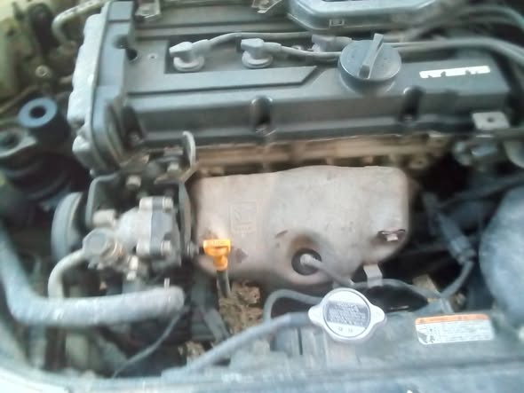 كيا ريو 2010 - صورة 2