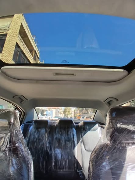 شيري اريزو 5 2020 - صورة 2