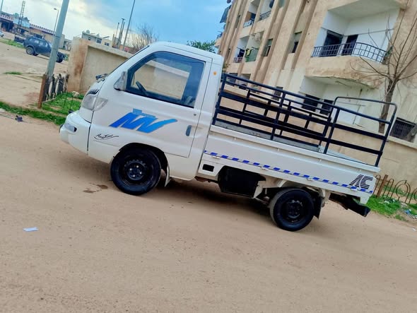 هافي روي ام شفة 2008 - صورة 4