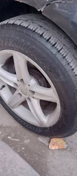 برلنس بلقبوها 2008 - صورة 2