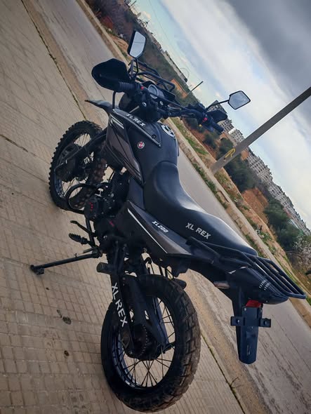 XL REX XL REX 2025 - صورة 1