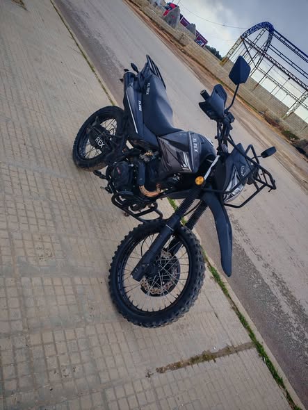 XL REX XL REX 2025 - صورة 2