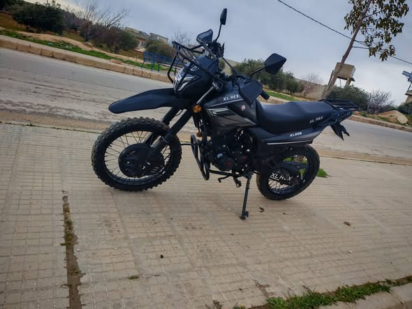 XL REX XL REX 2025 - صورة 3