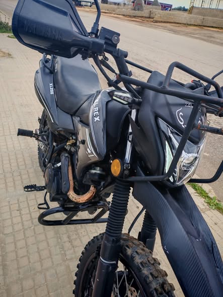 XL REX XL REX 2025 - صورة 4