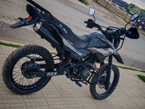 XL REX XL REX 2025 - صورة 5