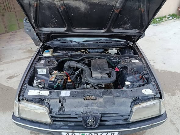 بيجو روى 2007 - صورة 3