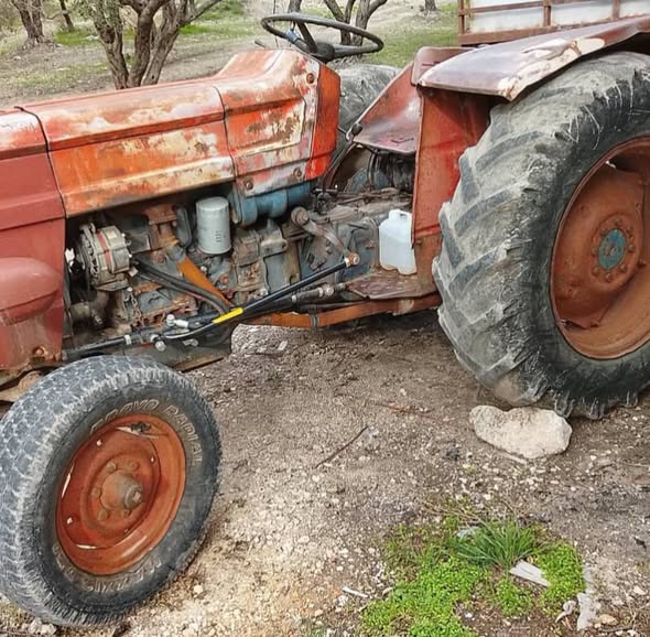 ايطالي تطبيق روماني 1975 - صورة 2