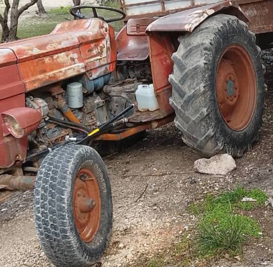 ايطالي تطبيق روماني 1975 - صورة 4