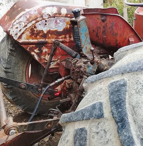 ايطالي تطبيق روماني 1975 - صورة 5