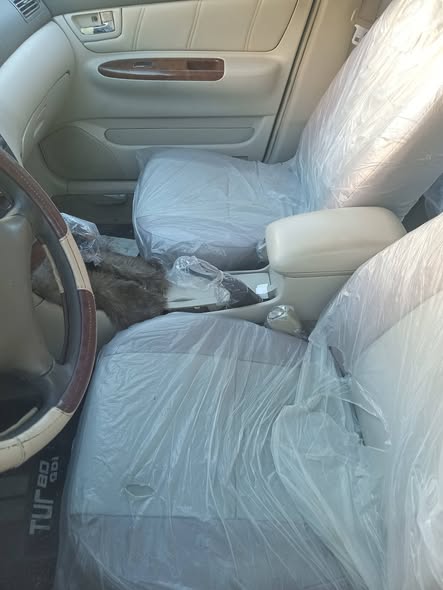 بي واي دي واي دي 2010 - صورة 2