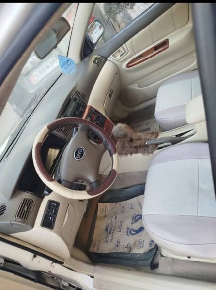 بي واي دي واي دي 2010 - صورة 3