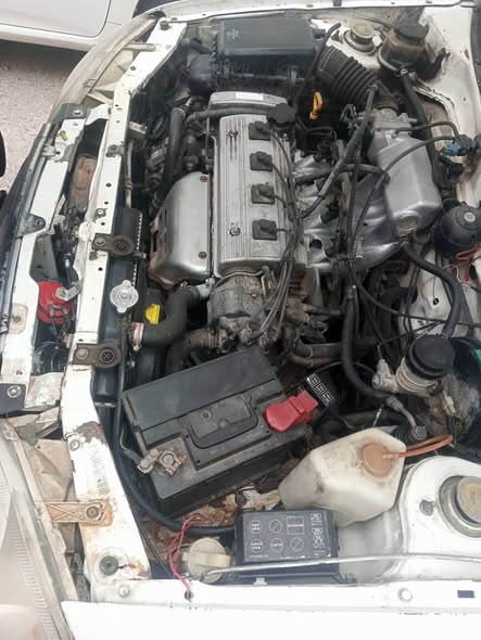 فاو كرت 2006 - صورة 3