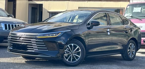 بي واي دي DESTROYER 05 2025 - صورة 4