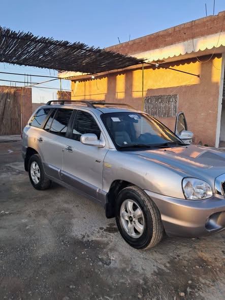 هيونداي سانتا في 2005 - صورة 2