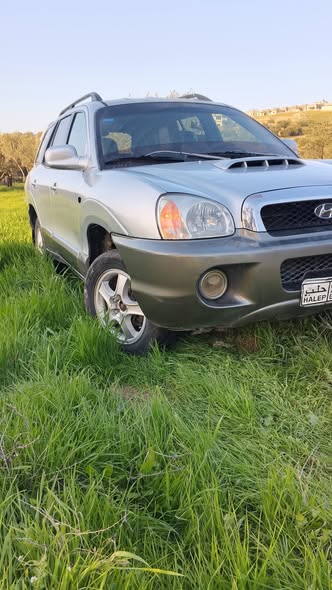 هيونداي سنتافي 2001 - صورة 3