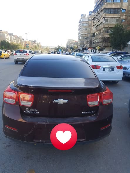 شفر ماليبو 2015 - صورة 4