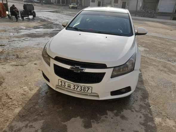 شفر كروز 2011 - صورة 1