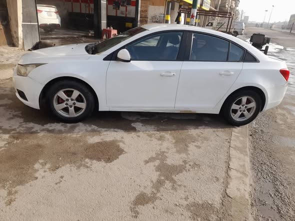 شفر كروز 2011 - صورة 2