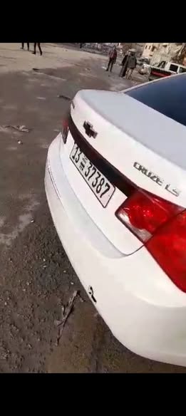 شفر كروز 2011 - صورة 3