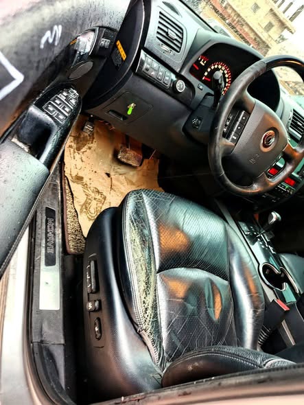 موهافي موهافي 2008 - صورة 5