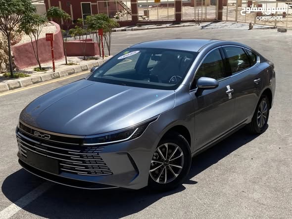 بي واي دي ديستروير 2025 - صورة 2