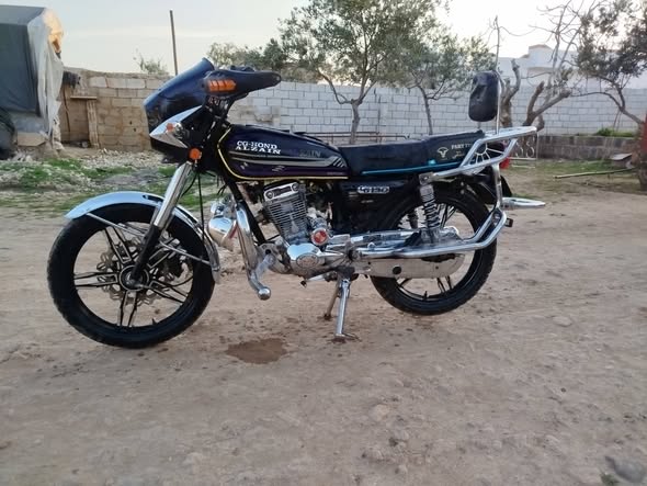 هوند سيجي 2024 - صورة 1