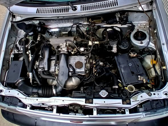 سايبا غير محدد 2011 - صورة 2