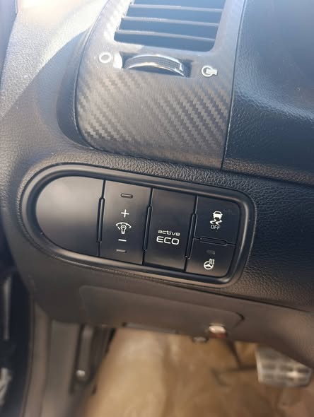 كي تري 2013 - صورة 2