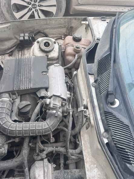 دايو بيكاب 2009 - صورة 3