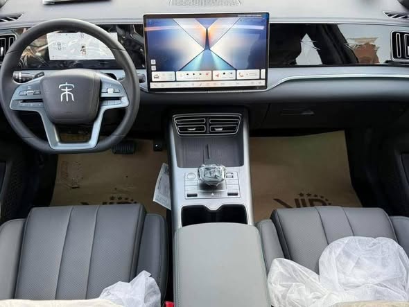 بي واي دي سونج برو 2025 - صورة 5