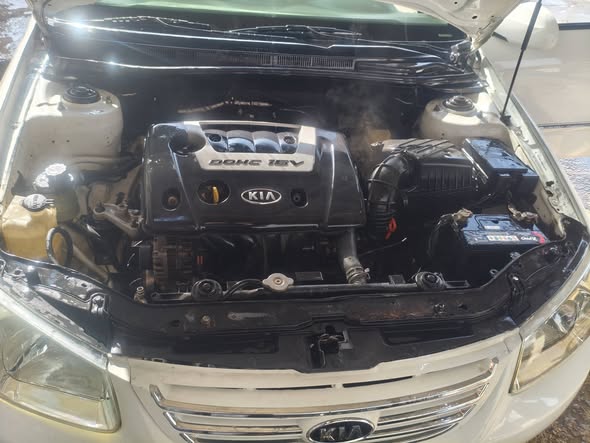 كيا سيراتو 2009 - صورة 5