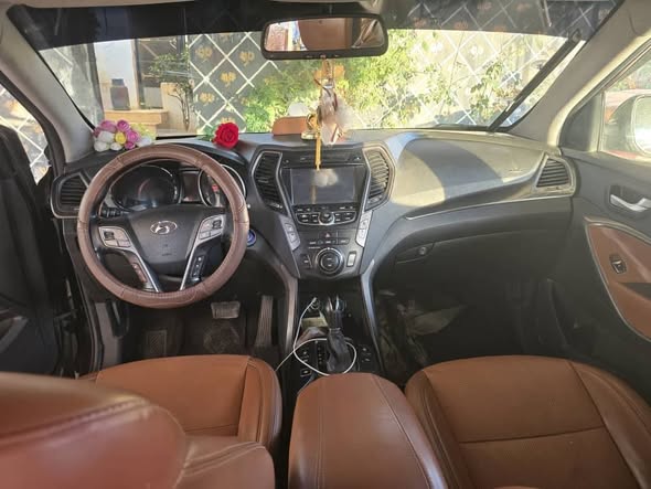 دي ام سانتا في 2014 - صورة 2