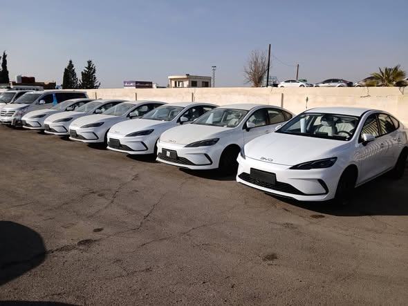 بي واي دي سيل 05 2025 - صورة 4