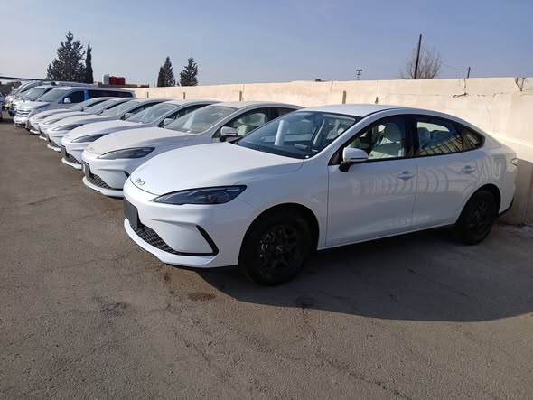 بي واي دي سيل 05 2025 - صورة 5