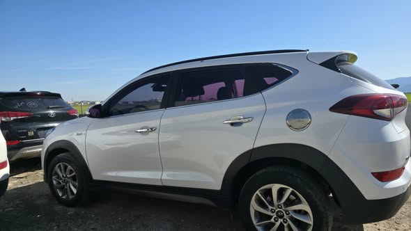 توسان توسان 2016 - صورة 4